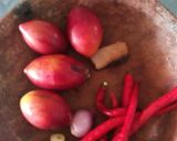 Foto langkah ke 1 dari resep Sambal terung belanda.