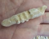 Foto del paso 6 de la receta: Fideos caseros "garganelli"