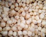 Hình bước làm 1 của món Chè hạt sen