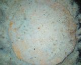 Foto del paso 5 de la receta: Milanesas de zapallo calabaza 😋