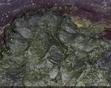 পালংপ্রদীপ/পালংশাকের মিষ্টি রেসিপি ধাপ - 6 ছবি