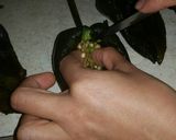 Foto del paso 5 de la receta: Chiles rellenos