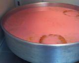 Foto del paso 4 de la receta: Gelapastel bicolor