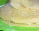 Spring rolls wrapsmatakin girki5 hoto
