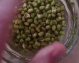 Foto del paso 1 de la receta: Brotes de mungo (mal llamados brotes de soja) 🌱 🫘