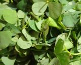 A picture of step 1 of Saag.