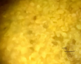 A picture of step 1 of Spice sambhar with soft idli.