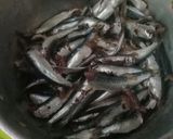 صورة لخطوة 1 من وصفة سردين بصوص طماطم