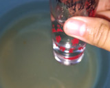Foto del paso 2 de la receta: Shandu' Nanixhe