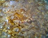 Foto del paso 5 de la receta: Arroz de café y canela!