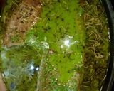 Foto del paso 6 de la receta: Vacío tiernizado en espinaca y ensalada de chaucha y remolacha