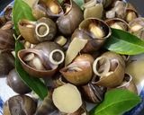 A picture of step 3 of Steamed Snails with Lemongrass and Lime Leaves - Ginger Fish Sauce Dip.