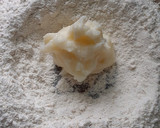 Foto del paso 1 de la receta: Masa para empanadas🥟