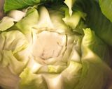Ujjnyi, töltött káposzta recept fázis 1 fotója