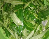 Foto langkah ke 1 dari resep Tumis kangkung sehat.