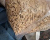 Foto del paso 1 de la receta: Leche de avena