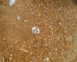 અડદિયા (Adadiya Recipe In Gujarati) રેસીપી સ્ટેપ3ફોટો