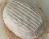 Foto langkah ke 12 dari resep Spekuk Craisin Sourdough Bread.