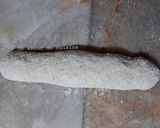 Une image de l'étape 5 de Pain complet au levain 🌾.