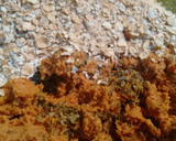 Foto del paso 4 de la receta: Hamburguesa omega 3-6 de nueces, semillas de cáñamo y agua de mar