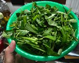 Foto langkah ke 1 dari resep Tumis Kangkung Saus Tiram (Tidak Pedas).