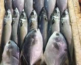 Hình bước làm 1 của món Cá nướng cuốn bánh tráng