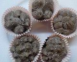 Foto del paso 21 de la receta: Cupcakes de Oreo