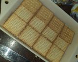 Foto del paso 1 de la receta: Postre con galleta óreo y vainilla