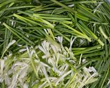 Hình bước làm 3 của món Chả cá lã vọng