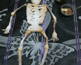 Foto del paso 12 de la receta: Calavera de hojaldre con dulce de leche