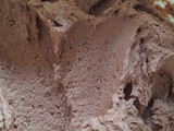 Semprit Coklat Putih Telur