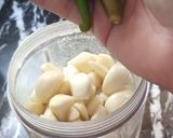 A picture of step 1 of Ginger Garlic Paste.