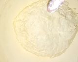 A picture of step 6 of Flower Donuts.