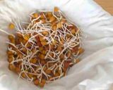 A picture of step 8 of Sprouted Chickpeas.