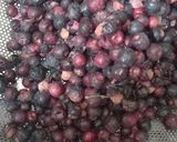 A picture of step 1 of Falsa Juice.