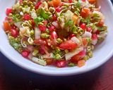 मूंग स्प्राउट सलाद Moong Sprouts Salad रेसिपी चरण 5 फोटो
