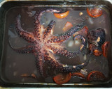 Foto del paso 4 de la receta: Pulpo asado