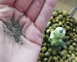 Une image de l'étape 3 de Tapenade aux olives vertes.