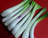 Foto del paso 2 de la receta: Cebolletas tiernas en vinagre agridulce en semi conservas