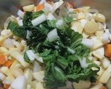 Une image de l'étape 7 de Soupe panais / rutabaga / navet / fenouil / blette.