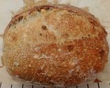 Foto langkah ke 16 dari resep Moringa Jinten Hitam Italian Herbs Cheese Sourdough Bread (Oven Tangkring).