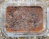 Foto del paso 3 de la receta: 🍫Budín de chocolate saludable 🍫 Ingrediente sorpresa (no es banana🙂↔️) listo en 10 minutos! 🍫