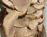Foto del paso 8 de la receta: Mano de piedra con camote