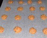 Foto del paso 5 de la receta: Pricomigdale