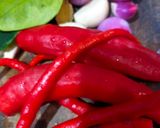 Foto langkah ke 3 dari resep 588. Balado Hati Ampela Ayam.