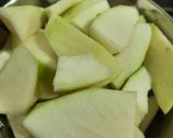A picture of step 1 of Raw Papaya Burfi.