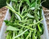 Foto langkah ke 1 dari resep Plecing Kangkung Pedas.