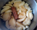 Foto del paso 3 de la receta: Compota de manzana en almíbar