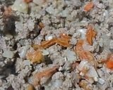 Foto del paso 3 de la receta: Pastel de Carne