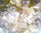 A picture of step 3 of White yam/pepper soup.